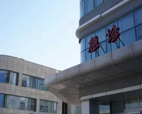 青岛代孕机构揭秘：高龄备孕与“试管婴儿”的成功率考量