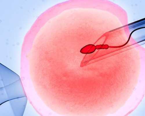 青岛目前有哪几家医院能进行供卵试管助孕技术？青岛试管婴儿医院有哪几家