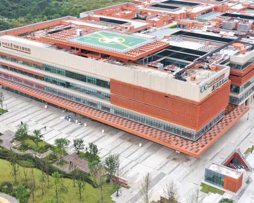 医生提醒：新生儿黄疸的识别与应对