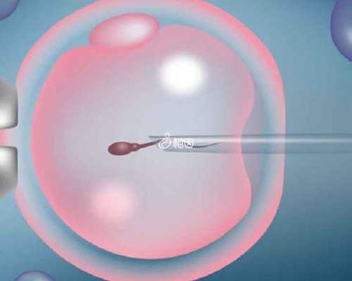 七个月宝宝的科学喂养与辅食添加指南