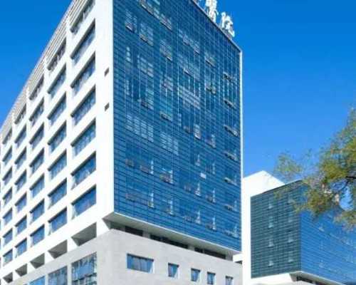 备孕者必读：试管助孕基础卵泡数量对成功率的影响与优化