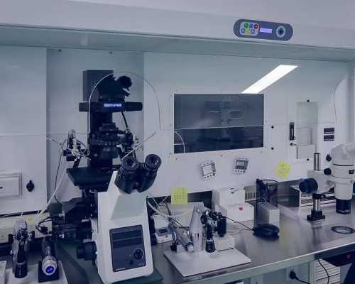 青岛助孕解析：铁元素对宝宝成长的关键作用与补铁策略