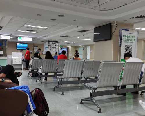 青岛试管助孕指南：费用、成功率及医院选择