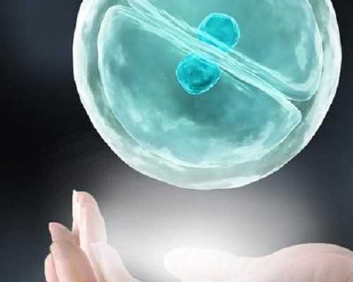 解析：青岛试管助孕宝宝辅食添加，点心何时最适宜？