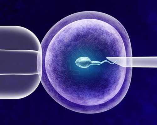 国内第三代试管助孕技术解析及费用参考