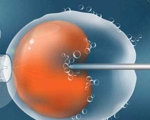 江苏宝宝辅食添醋时机：1岁左右味蕾初体验