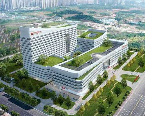 青岛代孕公司优选推荐：医院试管婴儿费用及供卵试管助孕指南