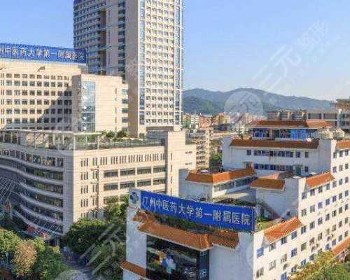 宝宝结巴是否与遗传相关？科学解析语言障碍成因