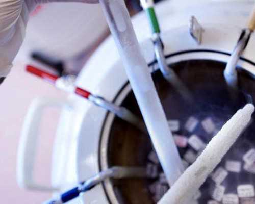 试管婴儿妊娠稳定期：从孕育到成熟的科学解读