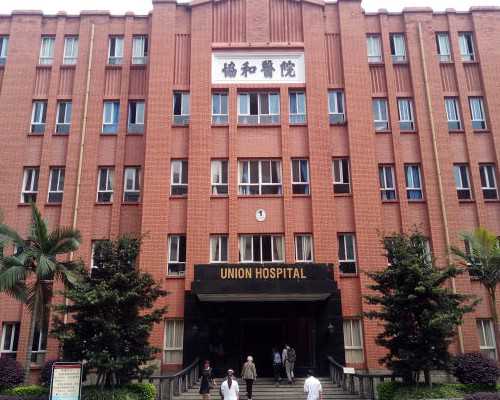 巧制海绵宝宝营养餐：江苏助孕宝宝美食新体验