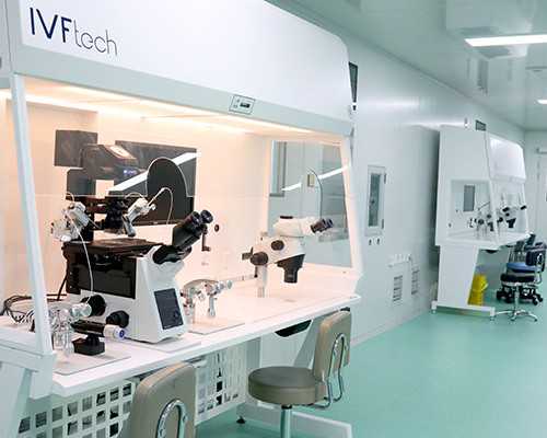 探秘青岛供卵试管助孕：医院选择与成功率解析