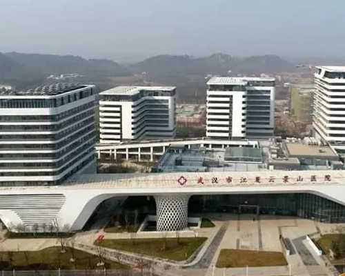 可选性别宝宝的第三代试管婴儿技术