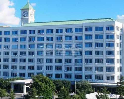 春季宝宝拍手助肝脏健康，科学护理应对气候变化