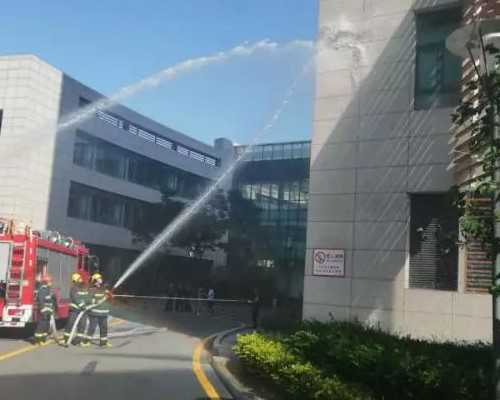 塑造不任性的宝宝：育儿的三个关键技巧