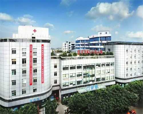 青岛辅助生殖指南：试管基础卵泡数量与助孕成功率的深度解析