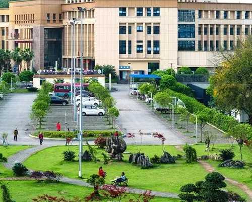 三岁宝宝营养汤品指南：助力健康成长